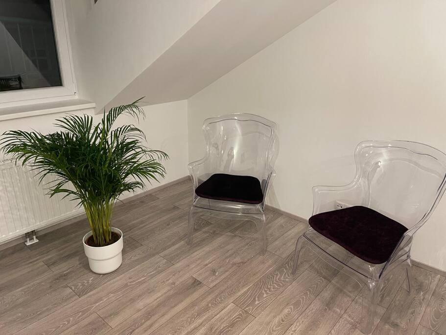 Apartament Dachterrasse Fuer 4 Personen Wiedeń Zewnętrze zdjęcie